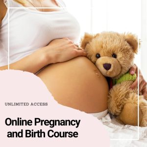 pregnancy and birth course